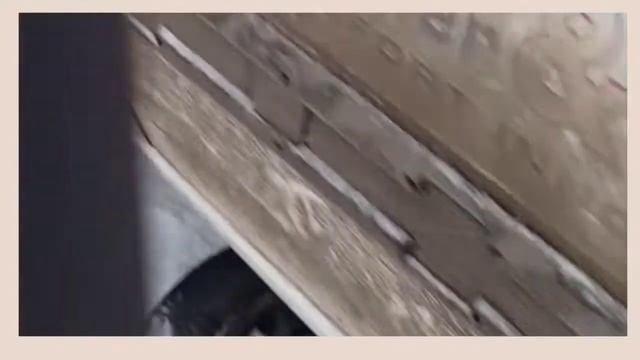 Что делать если оборвало болт? а на СТО сказали, что проще поменять коленвал...