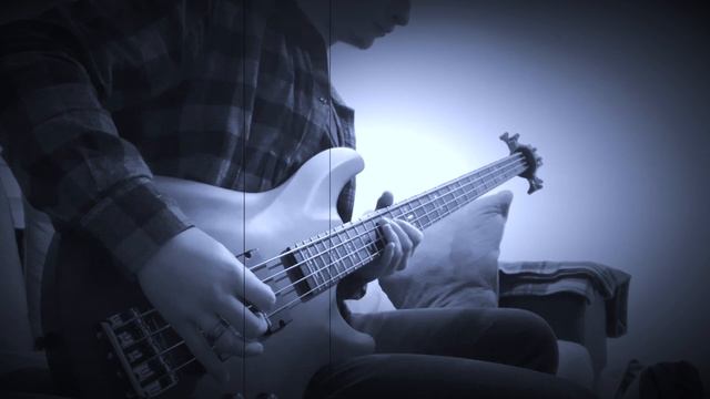 Wicked Envy - Been A Long Time Bass Play-through смотреть онлайн