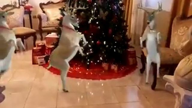 Танцующий рождественский олень!! смотреть онлайн
