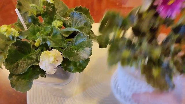 30 декабря 2022 г. смотреть онлайн