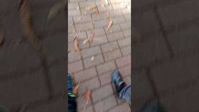 Обзор на Калининград улица Карла Маркса