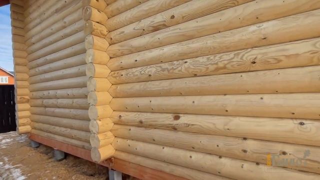 Баня из ТОЛСТОГО Оцилиндрованного Бревна 24 см # ВЗГЛЯНИ Какая Красотка))) смотреть онлайн