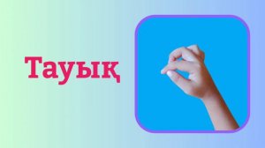 Саусақ жаттығулары/Нейро жаттығулары