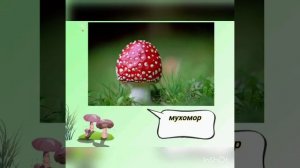 Презентация на тему "В царстве грибов"