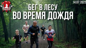 Бег в лесу после дождя, 10,5 км за 1 час, Шадриков Илья, клуб ЯРОПОЛК, 14.06.2022 г.