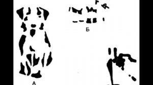 Стивен Лаберж Практика осознанного сновидения  Аудиокнига