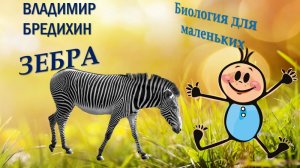 ВЛАДИМИР БРЕДИХИН-"ЗЕБРА"
