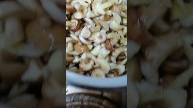 Грибы маслята. Как готовить. Грибы. Лесные маслята. смотреть онлайн