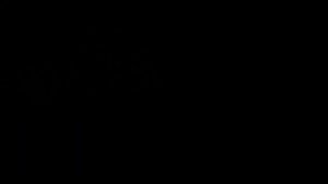 L'ISS vue au télescope Sky-Watcher Skyliner Classic 150P