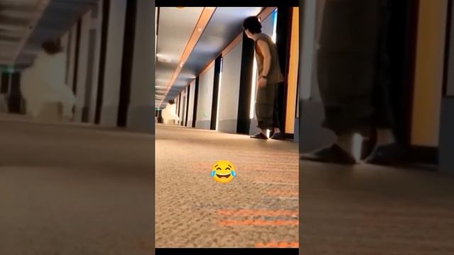 вау чувак