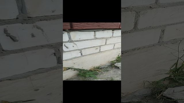 Дом уютный в Медовке, 123м2