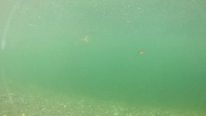 Игра приманки под водой. DUO Spearhead Ryuki 45S