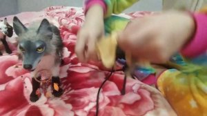 Что находится в сумочках Лаллы и Шуршура