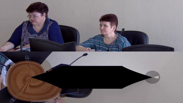 Вебинар "О соблюдении законодательства в сфере образования" смотреть онлайн