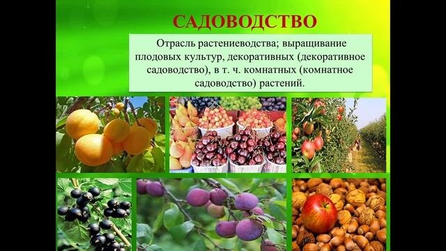 Основные направления в растениеводстве
