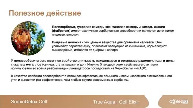 Ольга Извекова рассказывает о новом продукте AGenYZ СорбиоДетокс Селле (SorbioDetox Cell)