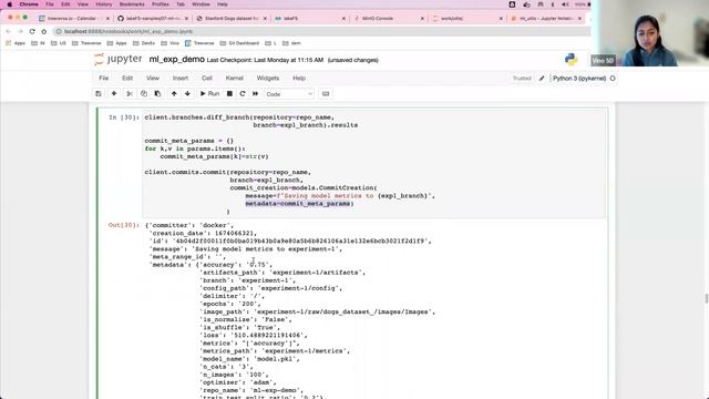 Version your ML Training Data for Easy Reproducibility смотреть онлайн