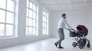 Коляска Anex Sport / Полный Обзор