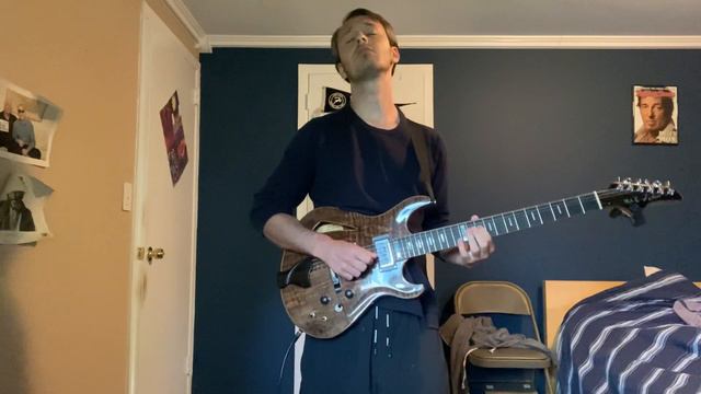 Paul Languedoc Birds of a Feather Jam — Phish (cover) смотреть онлайн