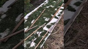 Как собирать большие урожаи и не полоть грядки!