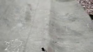 прицеп ММЗ 81021 под нагрузкой 510 кг!