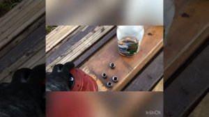 Замена водяного насоса мтз 82.1, замена помпы мтз 82