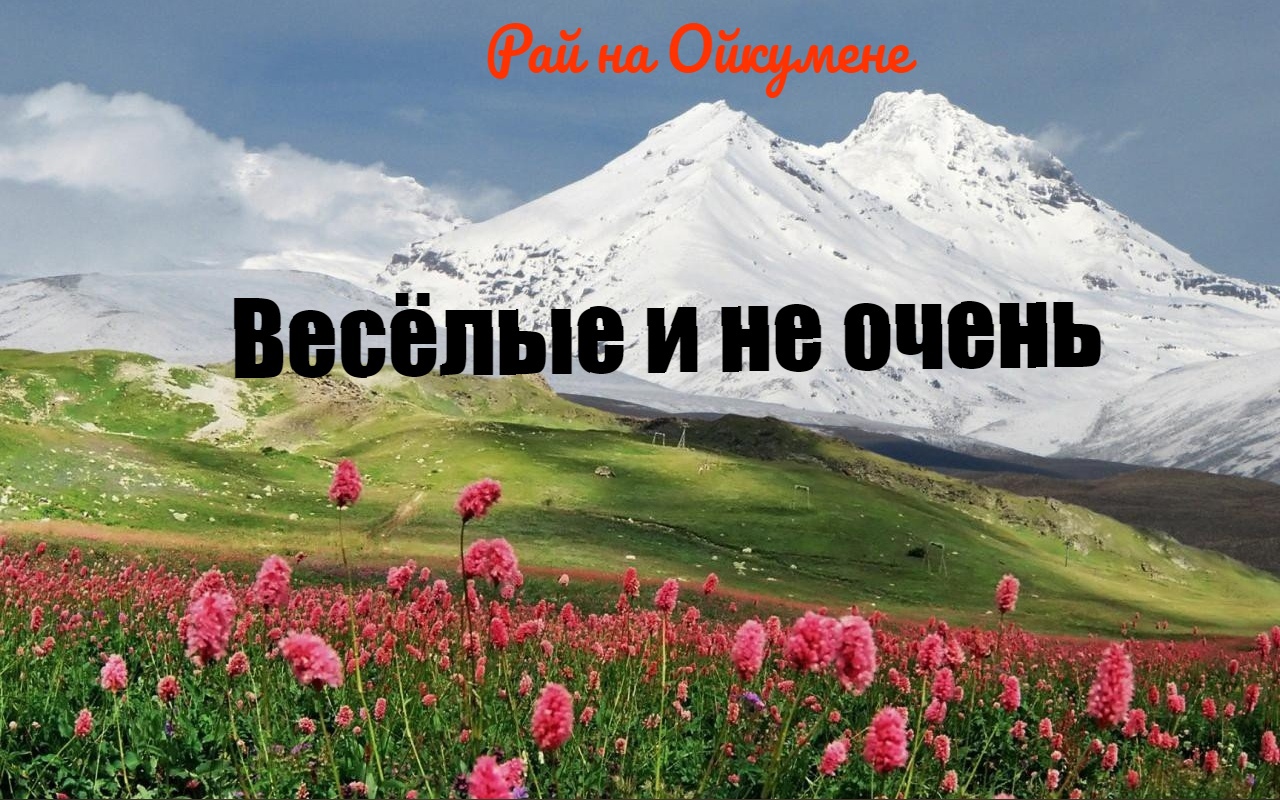 Весёлые и не очень.