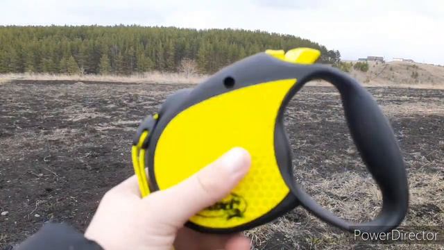 Обзор на Рулетку flexi Neon Reflect. | Animals TV | смотреть онлайн