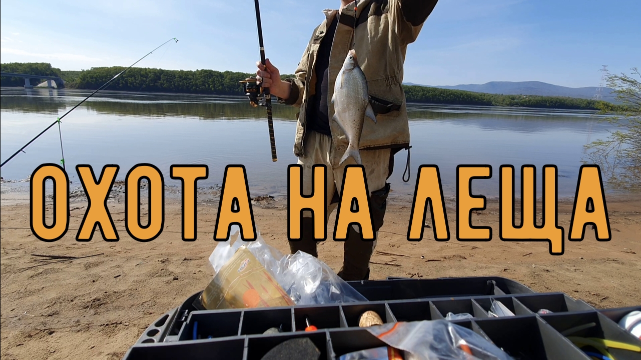 Рыбалка на Амуре. Голодный лещ смотреть онлайн