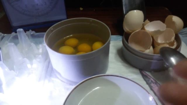ИНКУБАЦИЯ. Подготовка к началу инкубации куриных яиц.