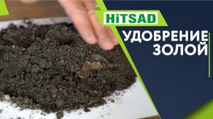 Какую ЗОЛУ Использовать как Удобрение ✔️ УЛУЧШИТЬ СТРУКТУРУ ПОЧВЫ