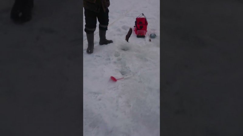 Актив работает