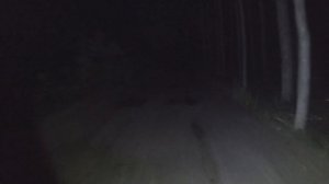 ОДИН НОЧЬЮ В ЛЕС НА ВЕЛИКЕ! ПЕРВЫЕ ПОКАТУШКИ!