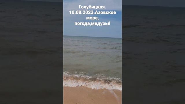 Голубицкая. 11.08.2023 г. Азовское море, погода, медузы, водоросли!