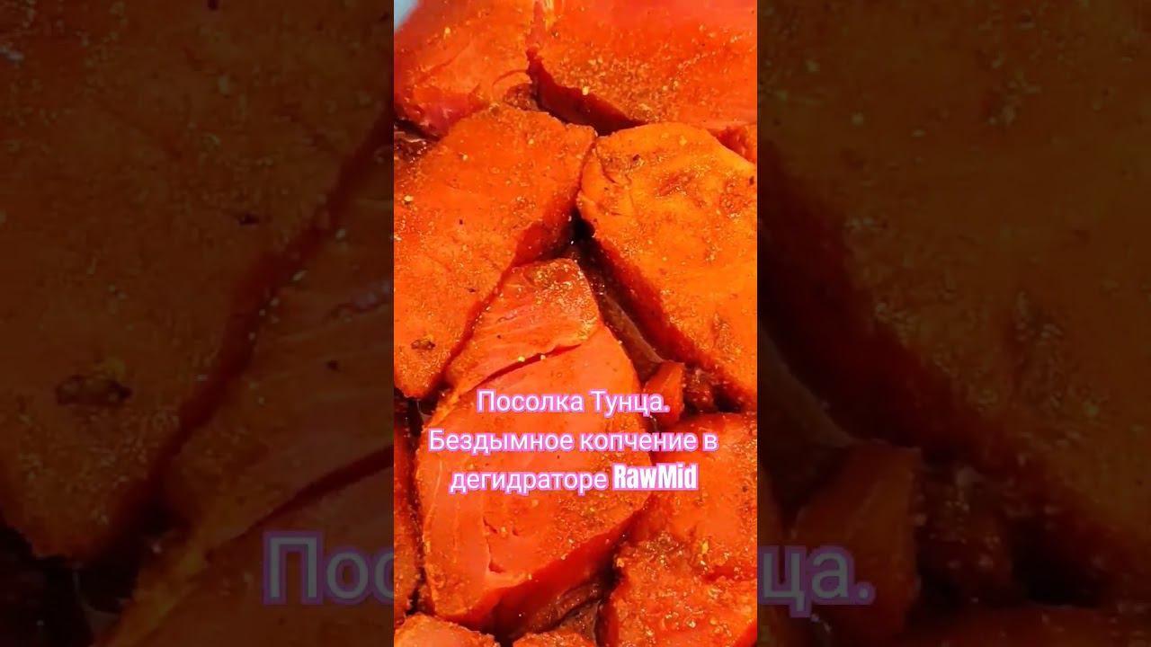 Посолка Тунца. Бездымное копчение в дегидраторе RawMid / Как солить рыбу перед копчением