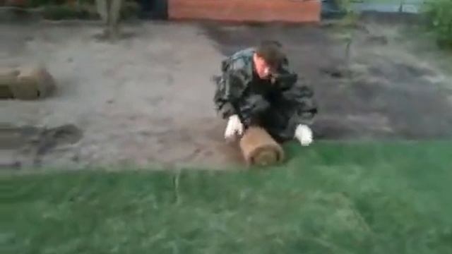 Укладка рулонного газона - Компания ГринАрт