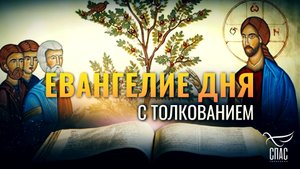 «ЧЕМУ ПОДОБНО ЦАРСТВИЕ БОЖИЕ?» / ЕВАНГЕЛИЕ ДНЯ