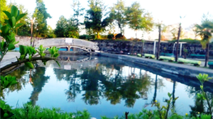 042. Второй источник совсем рядом. Абхазия. Кондыг