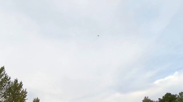 DJI Mini 4 Pro Active Track Test with GoPro Hero 12 Black & GoPro MAX