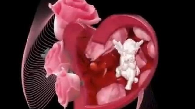 Tango & roses Tango to Evora смотреть онлайн