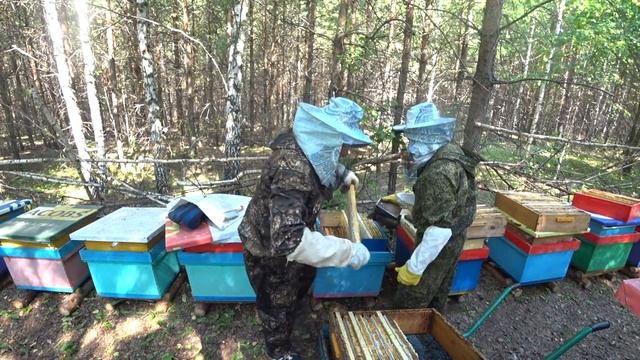 ДЕДОВСКИЙ СПОСОБ РАБОТЫ С ОДНОЙ МАГАЗИННОЙ НАДСТАВКОЙ, ОТБОР СОТОВЫХ РАМОК