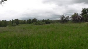 Путешествие в прошлое заброшенная деревня Родники(Куба).  Новосибирская область. Тогучинский район.