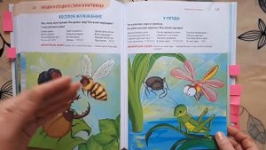 2+ ГОДОВОЙ КУРС развивающих занятий Янушко: видео обзор