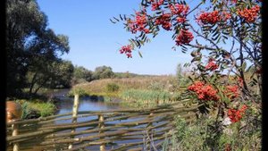 Людмила Зыкина - Тонкая рябина