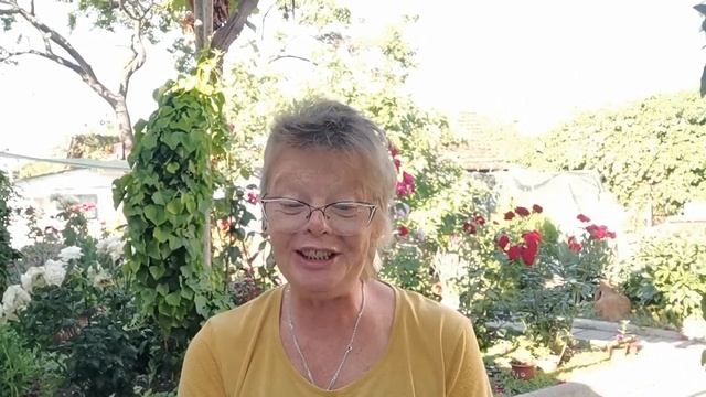 Королевство Кривых зеркал В.Губарев Глава 9. Начало. смотреть онлайн