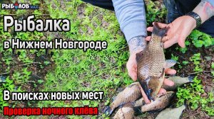 Проверка ночного клева на озере за городом Бор. Рыбалка в Нижнем Новгороде