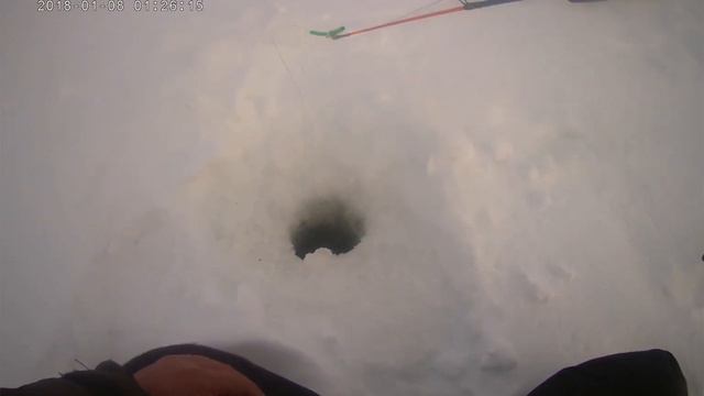 ОКУНЬ НА МЕЛИ . смотреть онлайн