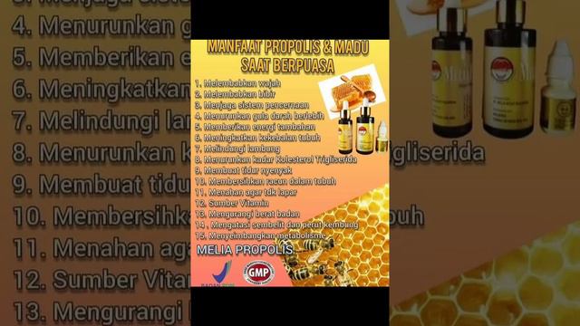 melia Propolis dan melia biyang