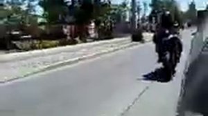 suzuki gsxr 250 (cobra)