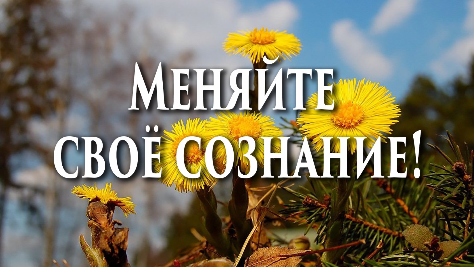 Меняйте своё сознание!